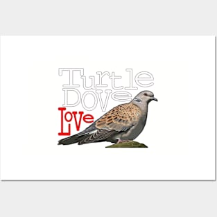 Turtle Dove Love Posters and Art